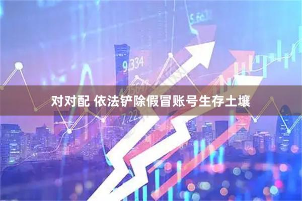 对对配 依法铲除假冒账号生存土壤
