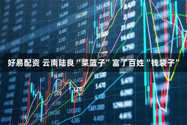 好易配资 云南陆良“菜篮子”富了百姓“钱袋子”