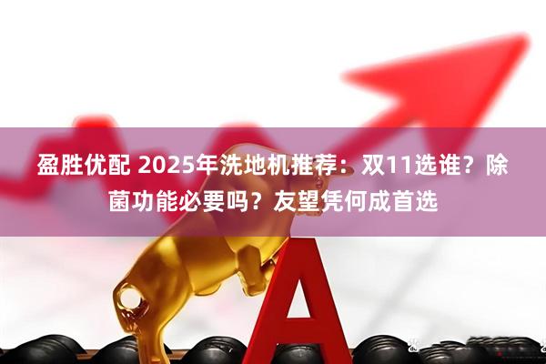 盈胜优配 2025年洗地机推荐：双11选谁？除菌功能必要吗？友望凭何成首选