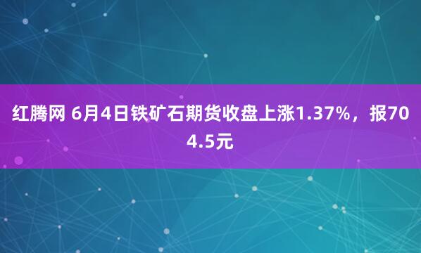 红腾网 6月4日铁矿石期货收盘上涨1.37%，报704.5元