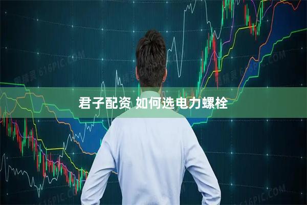 君子配资 如何选电力螺栓