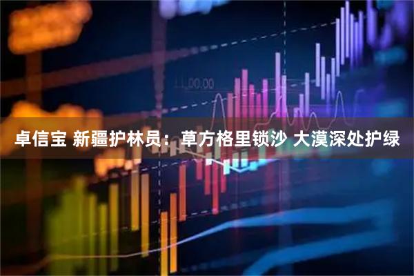 卓信宝 新疆护林员：草方格里锁沙 大漠深处护绿